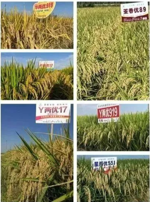 1675832996276.png 1675832996276.png