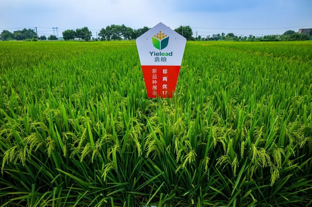 微信圖片_20230220085401.jpg 微信圖片_20230220085401.jpg