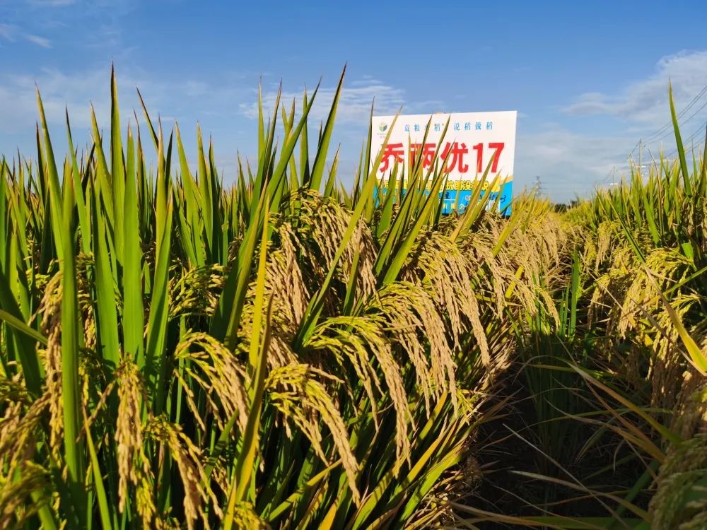 微信圖片_20230220085311.jpg 微信圖片_20230220085311.jpg