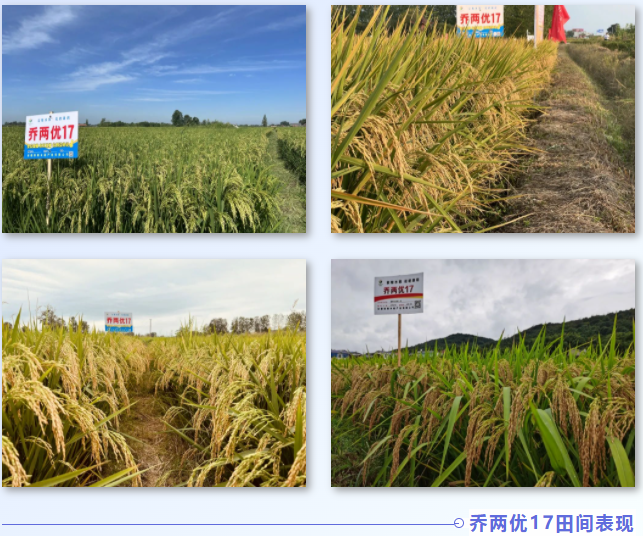 1676854423193.png 1676854423193.png