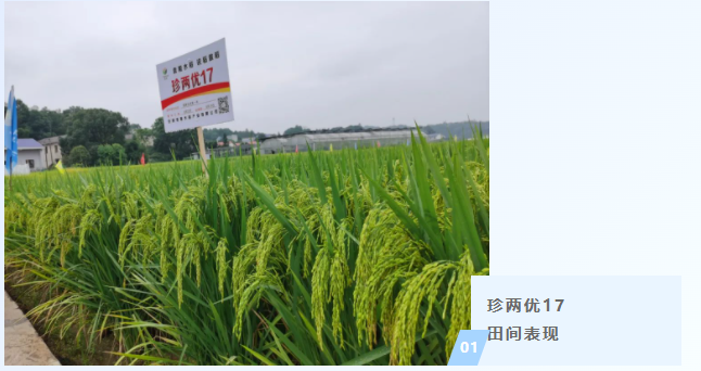 1676854478917.png 1676854478917.png