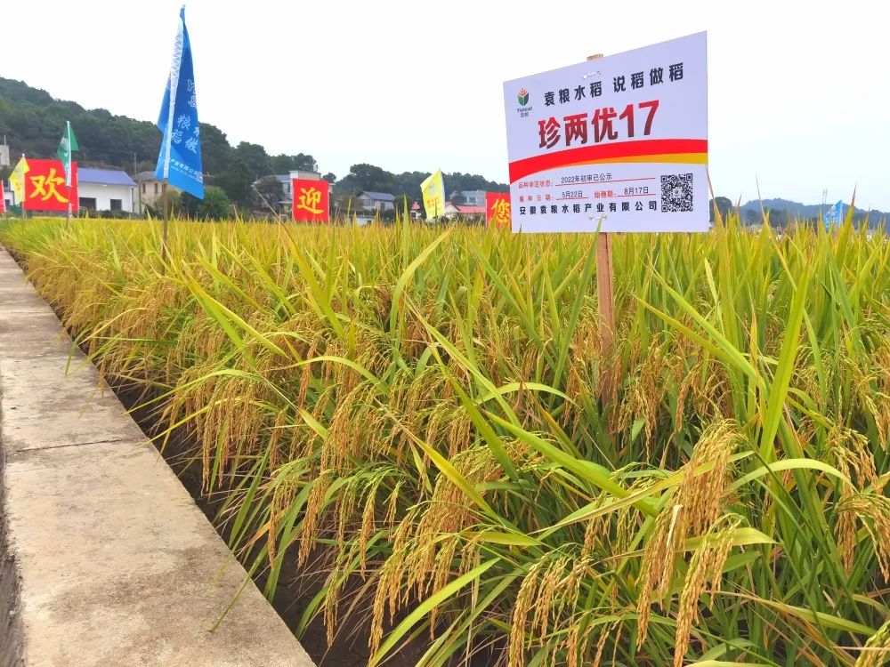 微信圖片_20230220085415.jpg 微信圖片_20230220085415.jpg