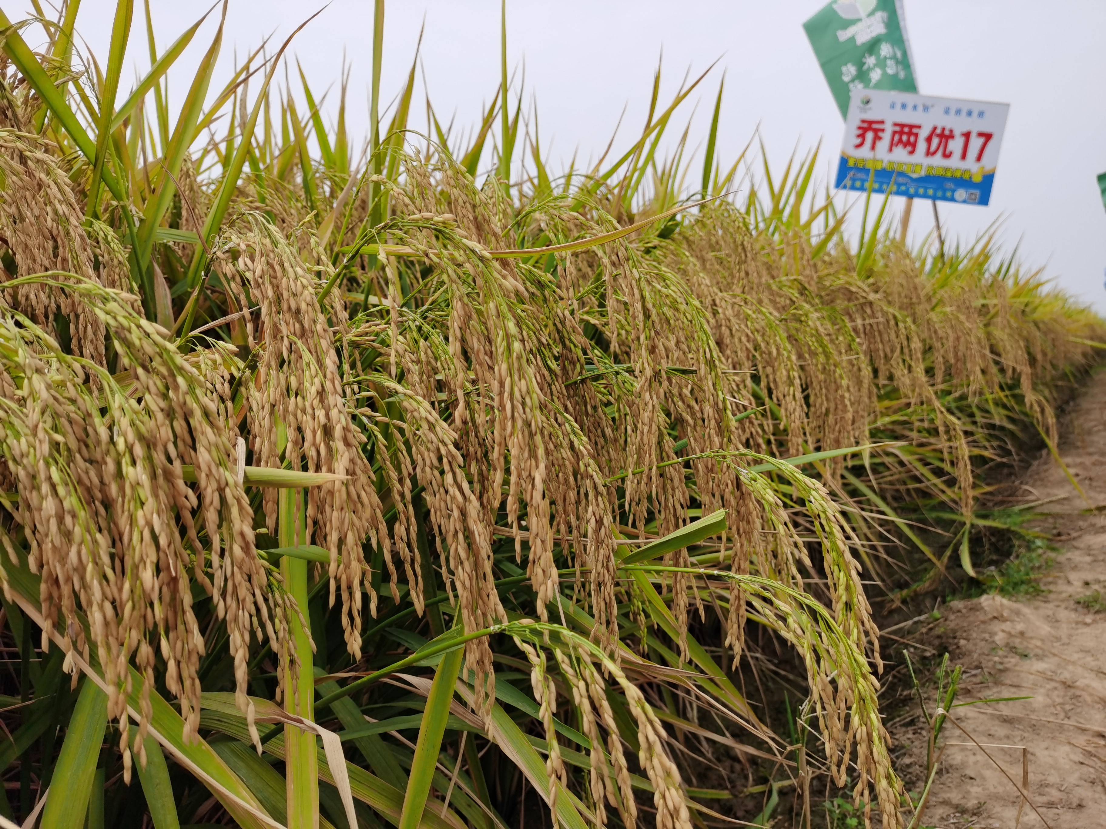 76ef1d2dfd7c221ea7f8f808865ab5f.jpg 76ef1d2dfd7c221ea7f8f808865ab5f.jpg