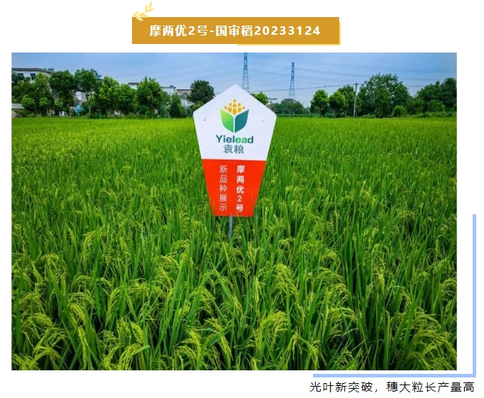 微信截圖_20240102145016.png 微信截圖_20240102145016.png