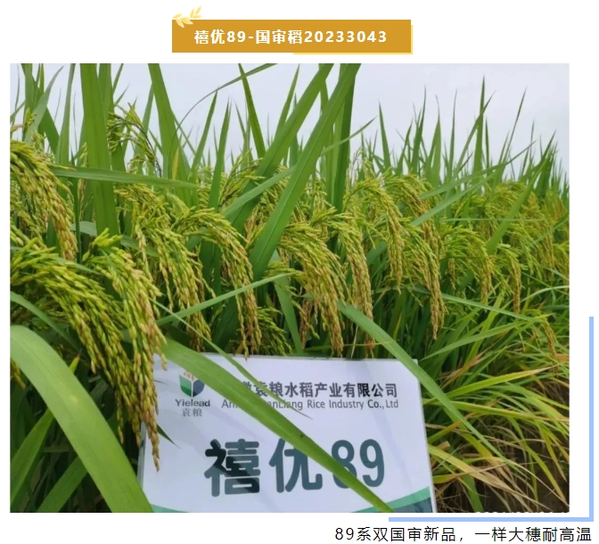 微信截圖_20240102144949.png 微信截圖_20240102144949.png