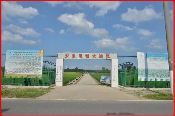 1995f869732675a8f5a52e3cb01c630.png 1995f869732675a8f5a52e3cb01c630.png