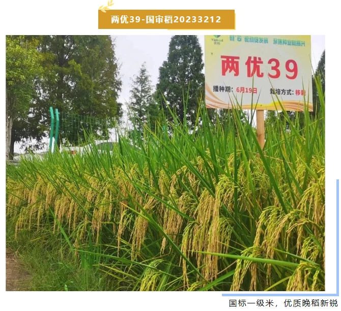 微信截圖_20240102144753.png 微信截圖_20240102144753.png