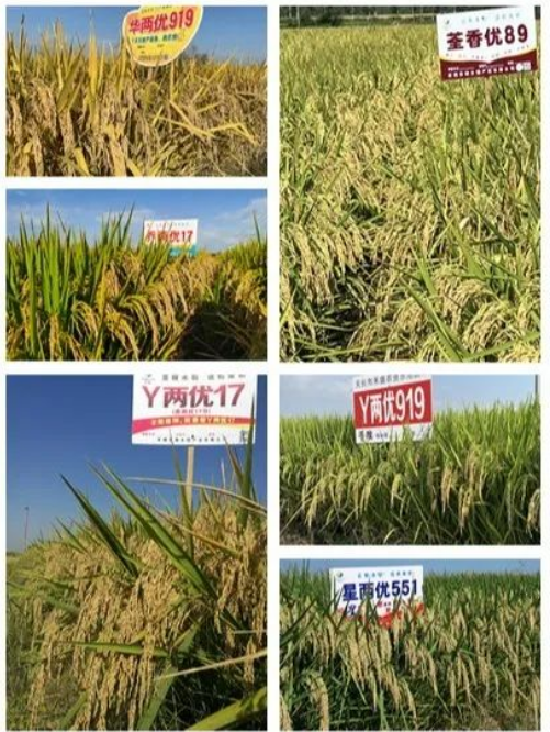 7eb8598a875ebb0b0ce47a9ac28b575.png 7eb8598a875ebb0b0ce47a9ac28b575.png