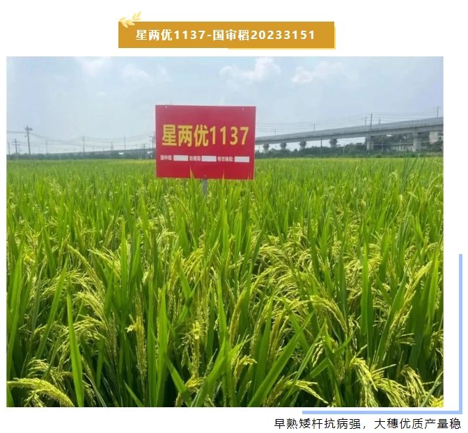 微信截圖_20240102144827.png 微信截圖_20240102144827.png