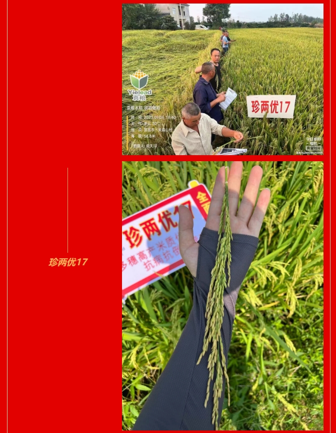 微信截圖_20250207110206.png 微信截圖_20250207110206.png