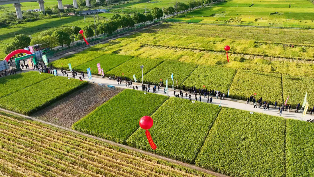 微信圖片_20250207111850.png 微信圖片_20250207111850.png