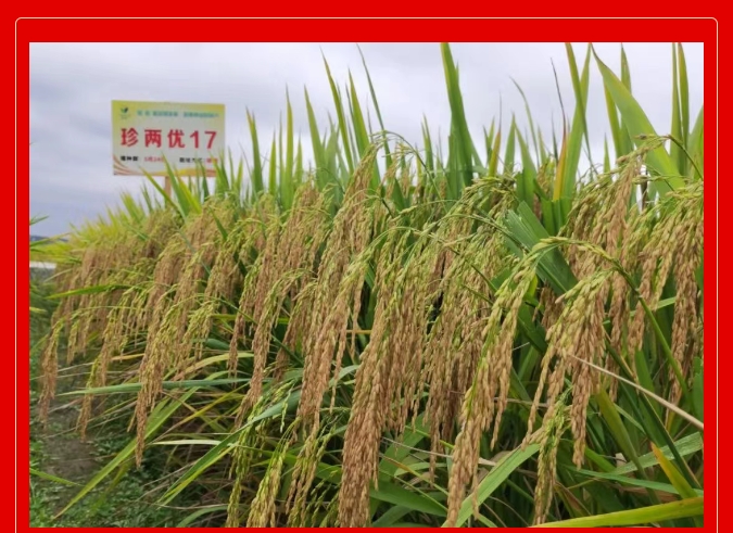 微信截圖_20250207110126.png 微信截圖_20250207110126.png